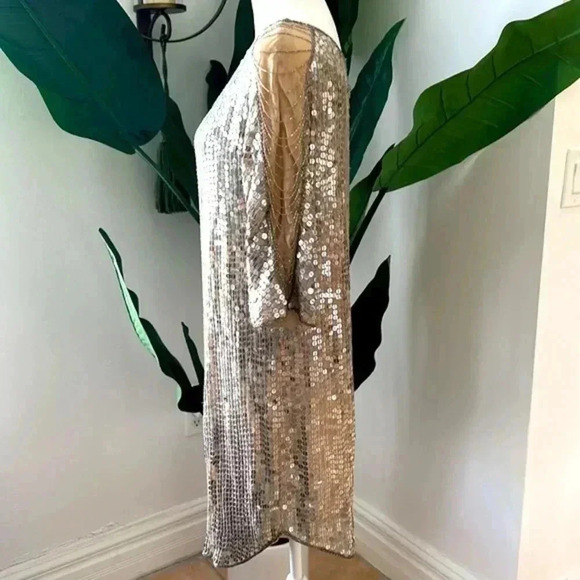 Haute Hippie XS Silver Sequence dress - Picture 7 of 12
